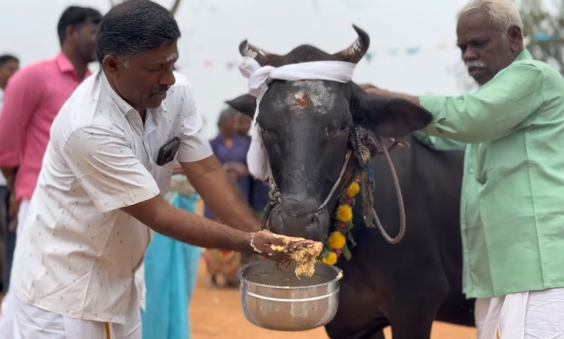 Pongal Celebration 2026